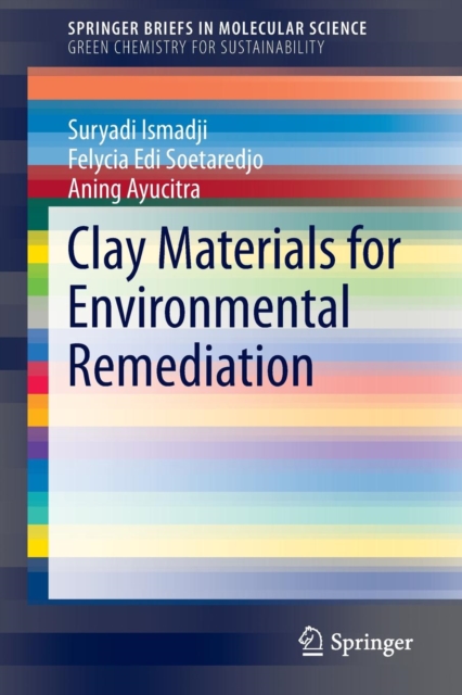Clay Materials for Environmental Remediation, Paperback / softback Book