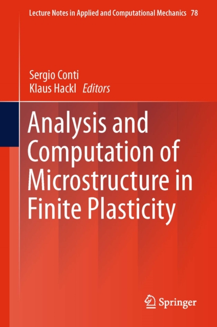 Analysis and Computation of Microstructure in Finite Plasticity, PDF eBook