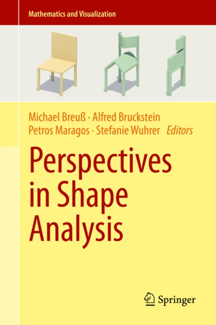 Perspectives in Shape Analysis, PDF eBook