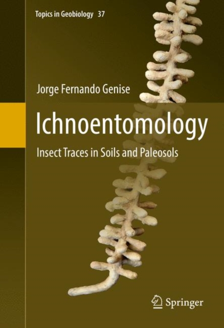 Ichnoentomology : Insect Traces in Soils and Paleosols, EPUB eBook