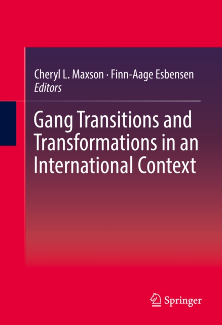 Gang Transitions and Transformations in an International Context, PDF eBook