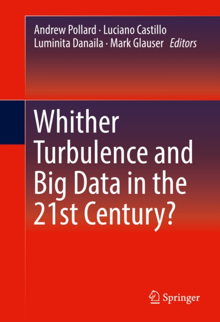 Whither Turbulence and Big Data in the 21st Century?, EPUB eBook