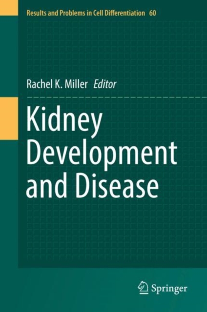 Kidney Development and Disease, EPUB eBook