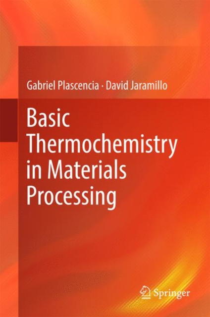 Basic Thermochemistry in Materials Processing, Hardback Book