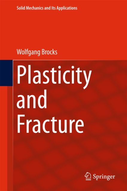 Plasticity and Fracture, EPUB eBook