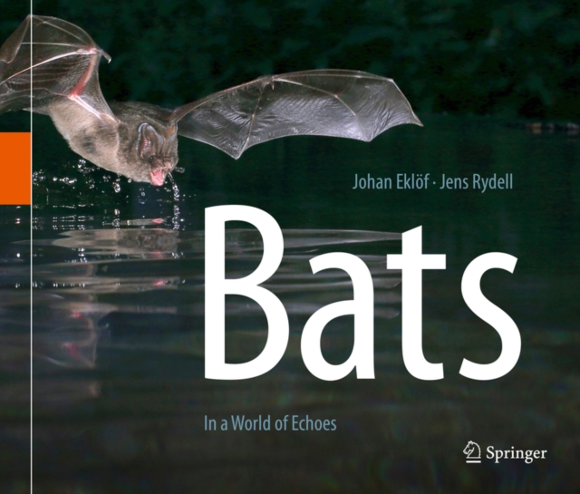 Bats : In a World of Echoes, PDF eBook