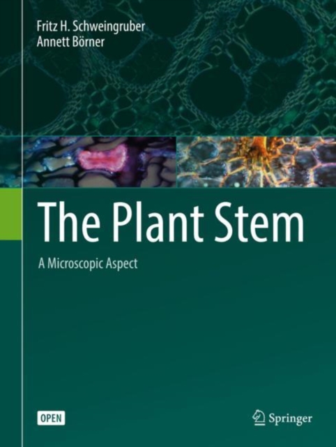 The Plant Stem : A Microscopic Aspect, Hardback Book