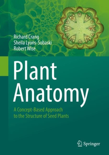 Plant Anatomy : A Concept-Based Approach to the Structure of Seed Plants, Paperback / softback Book