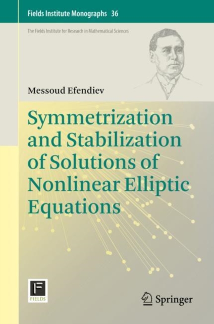 Symmetrization and Stabilization of Solutions of Nonlinear Elliptic Equations, EPUB eBook