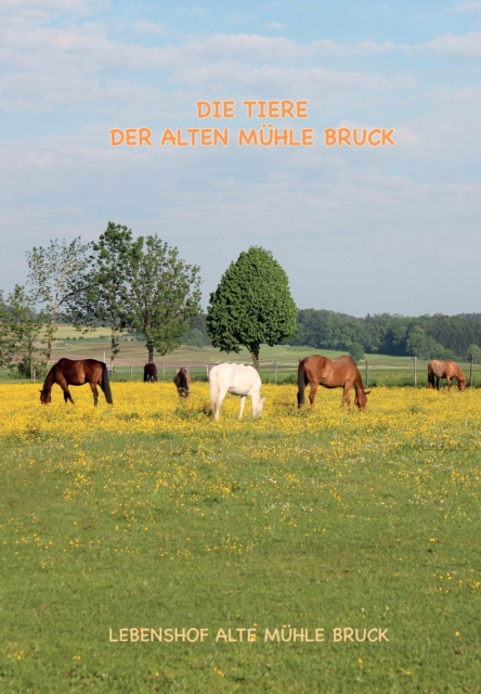 Wie kommt das Pony auf den Gnadenbrothof? : 34 kleine Lebensgeschichten der wunderbaren Tieren vom Ponyhof Alte Muhle Bruck, EPUB eBook