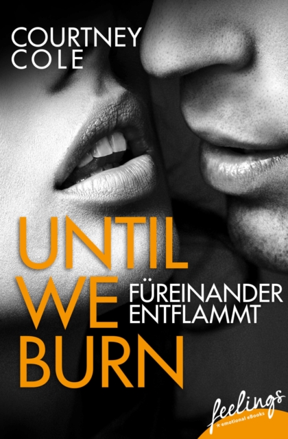 Until We Burn - Fureinander entflammt : Roman, EPUB eBook
