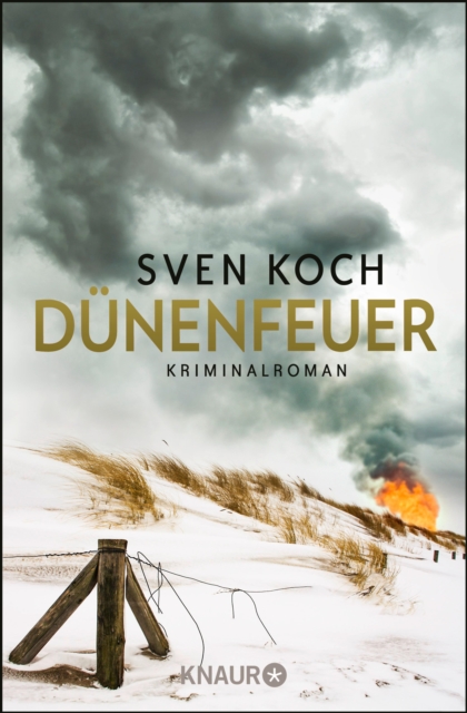 Dunenfeuer : Kriminalroman, EPUB eBook