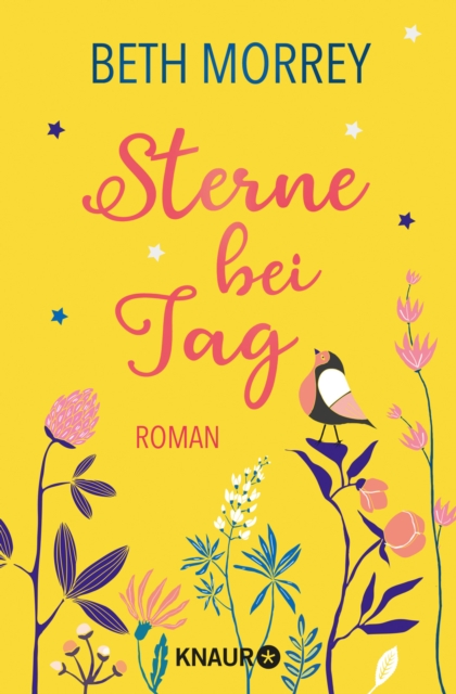 Sterne bei Tag : Roman, EPUB eBook