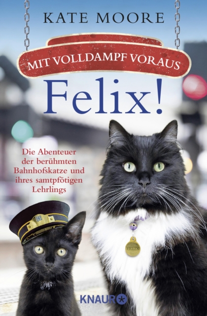 Mit Volldampf voraus, Felix!, EPUB eBook