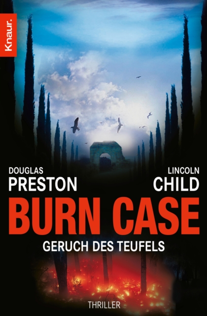Burn Case : Geruch des Teufels, EPUB eBook