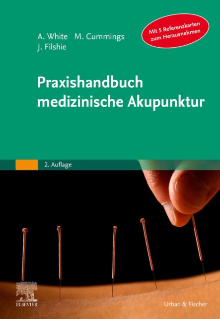 Praxishandbuch medizinische Akupunktur, EPUB eBook