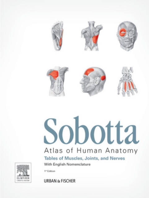 Sobotta Tables of Muscles, Joints and Nerves, English : Tables to 15th ed. of the Sobotta Atlas, EPUB eBook