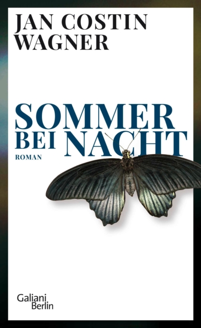 Sommer bei Nacht : Roman, EPUB eBook