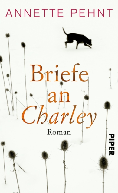 Briefe an Charley : Ein Roman, EPUB eBook