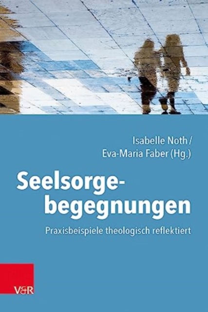 Seelsorgebegegnungen : Praxisbeispiele theologisch reflektiert, Paperback / softback Book