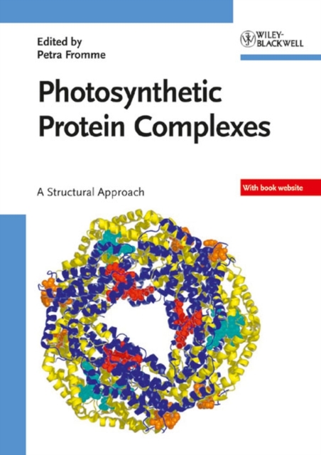 Photosynthetic Protein Complexes : A Structural Approach, Mixed media product Book