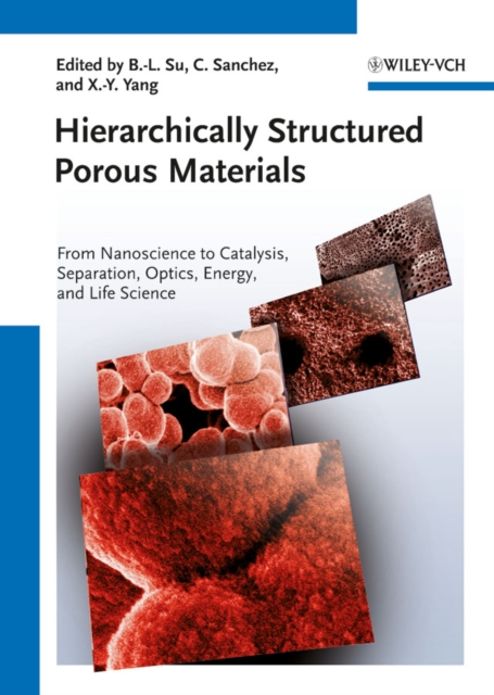 Hierarchically Structured Porous Materials : From Nanoscience to Catalysis, Separation, Optics, Energy, and Life Science, Hardback Book