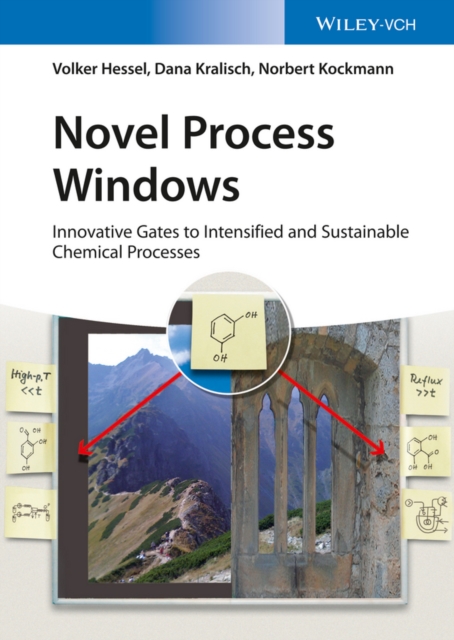 Novel Process Windows : Innovative Gates to Intensified and Sustainable Chemical Processes, Hardback Book
