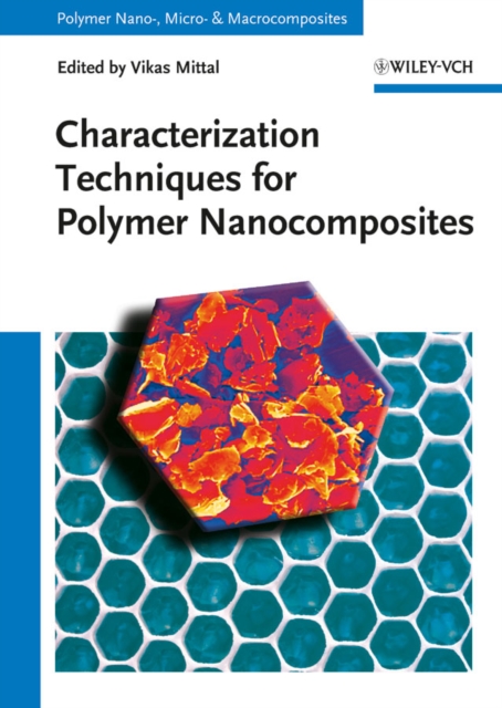 Characterization Techniques for Polymer Nanocomposites, Hardback Book
