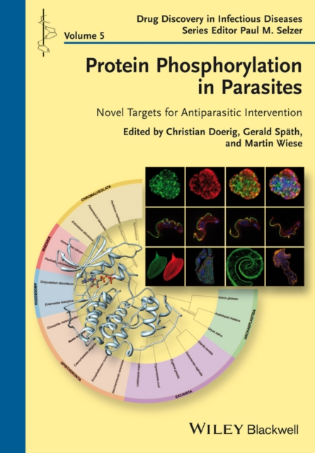Protein Phosphorylation in Parasites : Novel Targets for Antiparasitic Intervention, Hardback Book