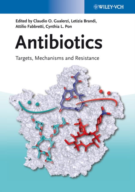 Antibiotics : Targets, Mechanisms and Resistance,  Book
