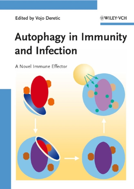 Autophagy in Immunity and Infection : A Novel Immune Effector, PDF eBook