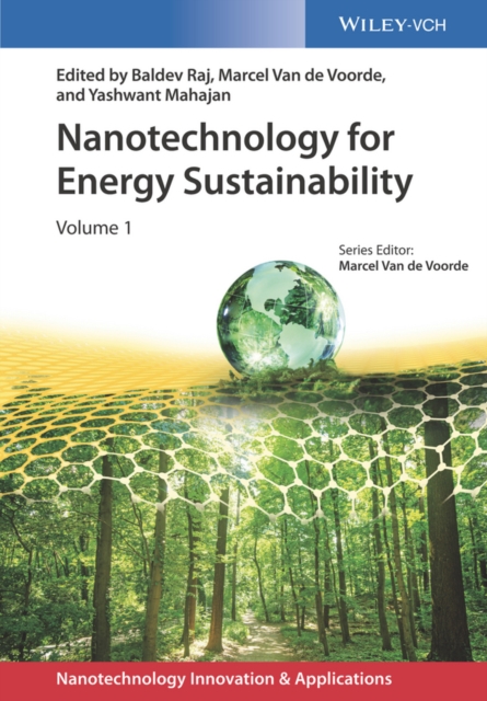 Nanotechnology for Energy Sustainability, EPUB eBook