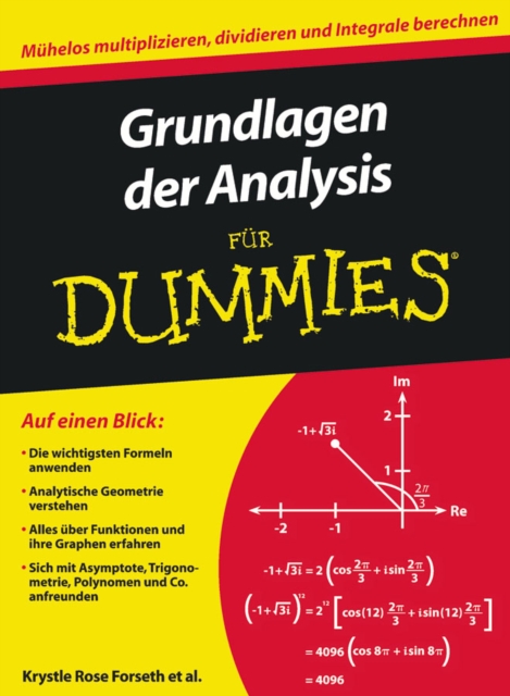 Grundlagen der Analysis fur Dummies, Paperback / softback Book
