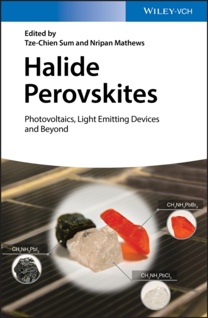 Halide Perovskites : Photovoltaics, Light Emitting Devices, and Beyond, EPUB eBook