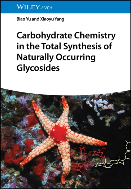 Carbohydrate Chemistry in the Total Synthesis of Naturally Occurring Glycosides, EPUB eBook