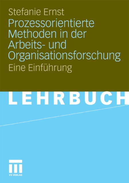 Prozessorientierte Methoden in der Arbeits- und Organisationsforschung : Eine Einfuhrung, PDF eBook