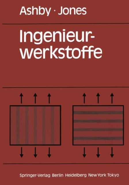 Ingenieurwerkstoffe, Paperback Book