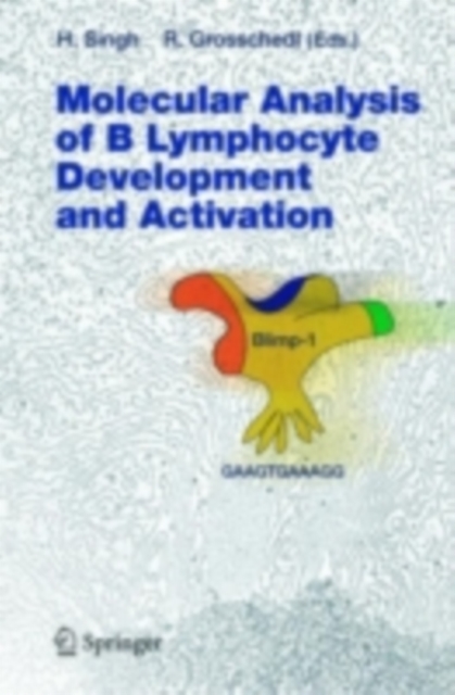 Molecular Analysis of B Lymphocyte Development and Activation, PDF eBook