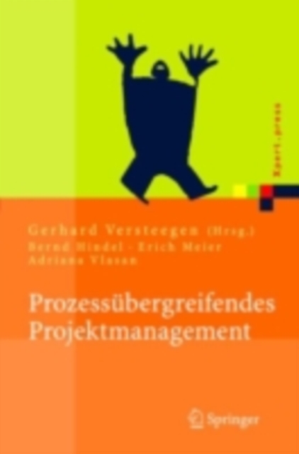 Prozessubergreifendes Projektmanagement : Grundlagen erfolgreicher Projekte, PDF eBook