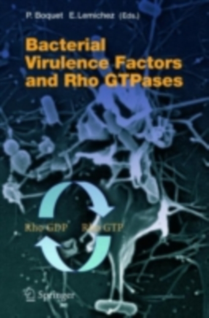 Bacterial Virulence Factors and Rho GTPases, PDF eBook