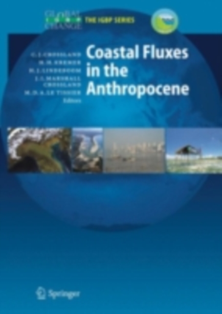 Coastal Fluxes in the Anthropocene : The Land-Ocean Interactions in the Coastal Zone Project of the International Geosphere-Biosphere Programme, PDF eBook