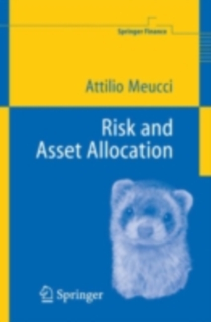 Risk and Asset Allocation, PDF eBook