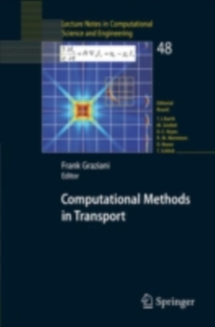 Computational Methods in Transport : Granlibakken 2004, PDF eBook