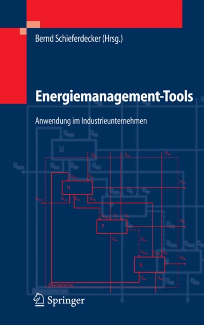 Energiemanagement-Tools : Anwendung im Industrieunternehmen, PDF eBook