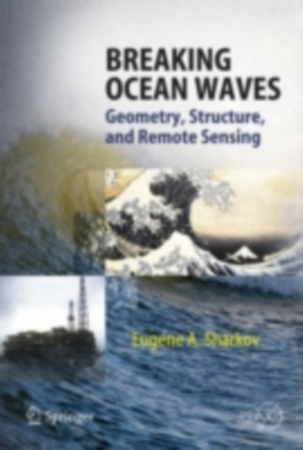 Breaking Ocean Waves : Geometry, Structure and Remote Sensing, PDF eBook