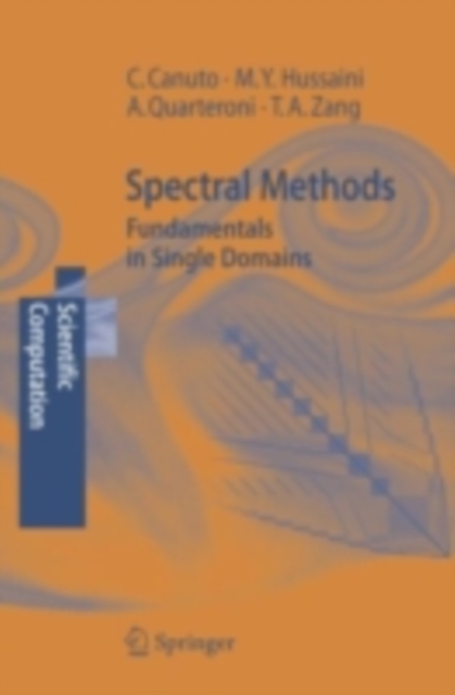 Spectral Methods : Fundamentals in Single Domains, PDF eBook