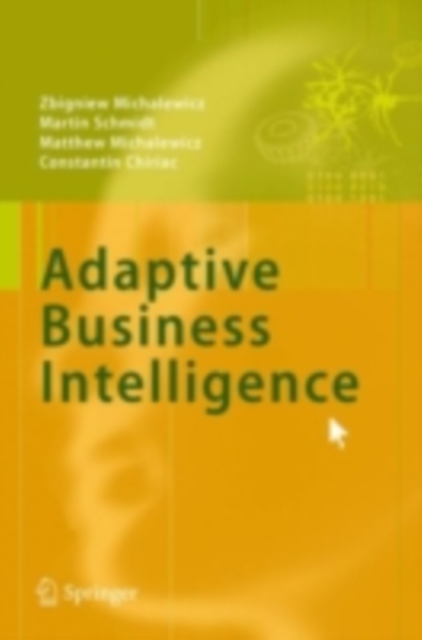 Adaptive Business Intelligence, PDF eBook