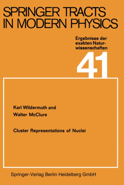 Cluster Representations of Nuclei, PDF eBook
