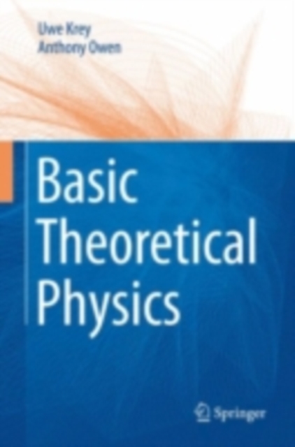 Basic Theoretical Physics : A Concise Overview, PDF eBook