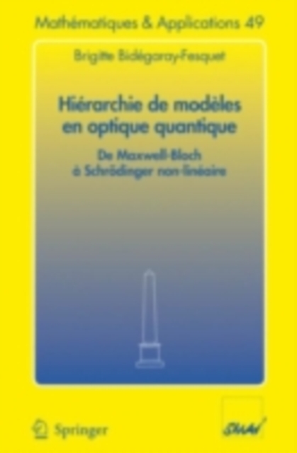 Hierarchie de modeles en optique quantique : De Maxwell-Bloch a Schrodinger non-lineaire, PDF eBook